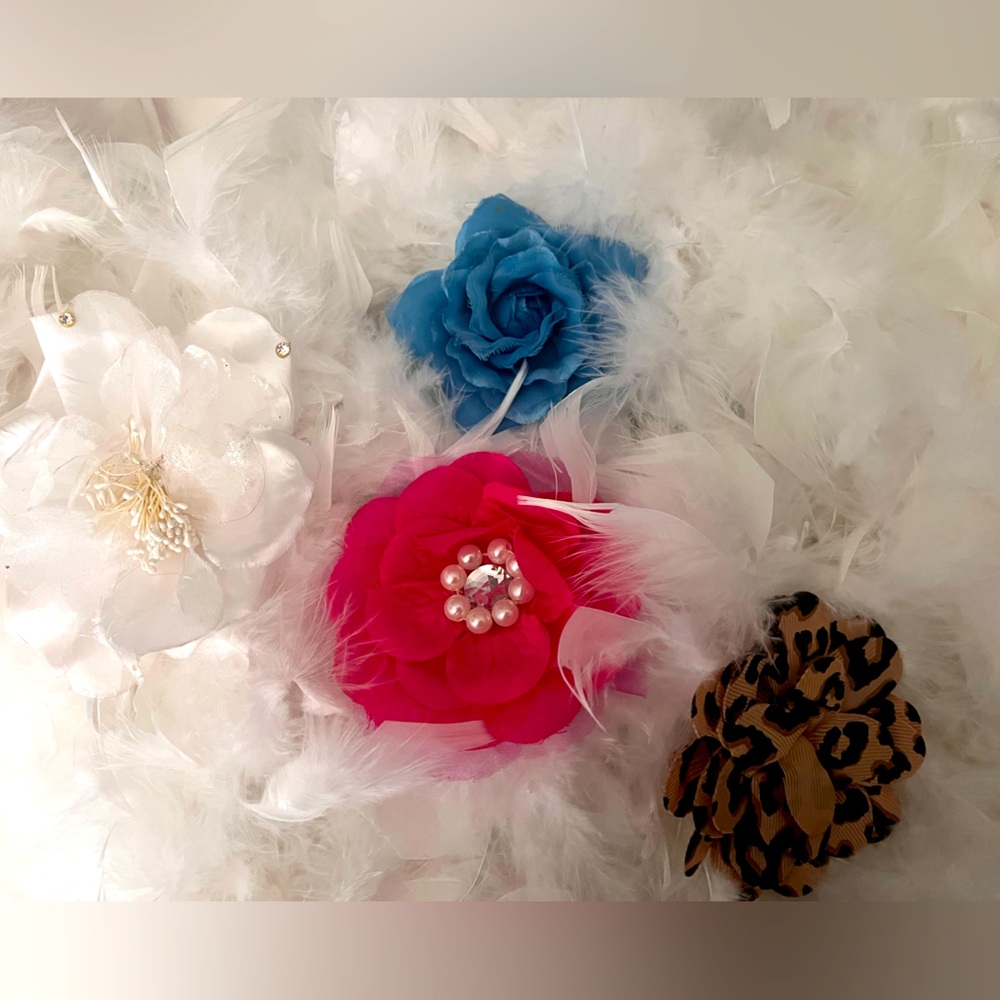 Lot of Hair accessories